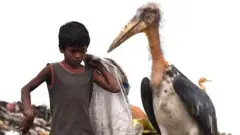 પ્રતીકાત્મક તસવીર