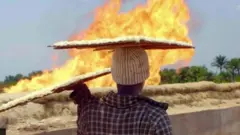 Ịmetọ ihu eligwe