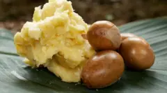 Du beurre de karité et des amandes de karité sur une feuille verte.