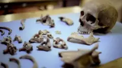 Restos mortais das vítimas de Norwich