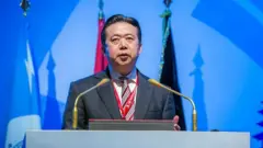 Meng Hongwei