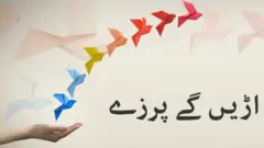 بی بی سی
