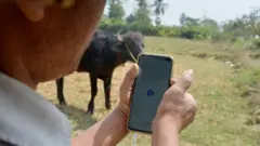 အင်တာနက်မရှိလို့ အဆက်အသွယ်တွေ ပြတ်တောက်နေတယ်လို့ ဒေသခံတွေက ပြောပါတယ်။