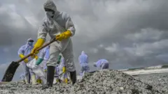 Экологическая катастрофа у берегов Шри-Ланки