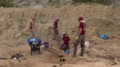 ဒိုင်နိုဆော ရုပ်ကြွင်း ရှာပုံတော်သစ်