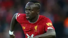 Mane