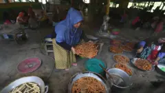 Kampung Sosialis