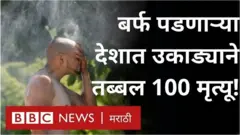 उष्णता