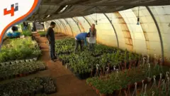 لتفادي أزمة المحروقات التي يعاني منها لبنان، تم توظيف تقنيات مختلفة لتحسين ظروف الزراعة في البقاع اللبناني وغيرها من المناطق اللبنانية.