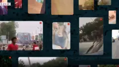 Sudaan viidiyoo
