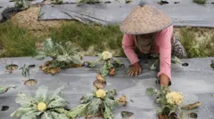 Warga desa di Kabupaten Konawe
