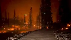 آتش‌سوزی