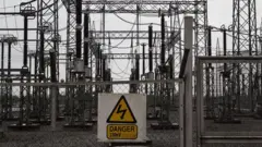 Electricity generating plant