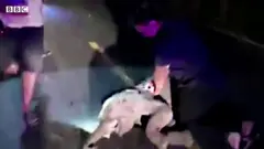 ሓርማዝ