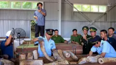 Một vụ tịch thu ngà voi tại Đà Nẵng của giới chức Việt Nam năm 2019