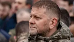 Valerii Zaluzhnyi