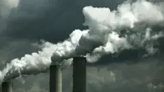 coal smoke