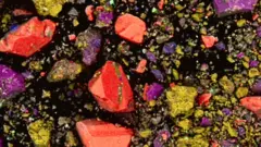 The contents of the lipstick vial as seen under a microscope