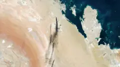 Petrol