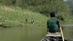 မိုဘိုင်းလ်ကွန်ယက်နဲ့ ငှက်ဖျားပြန့်ပွားမှု စောင့်ကြည့်နိုင်