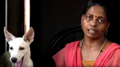 சுதா