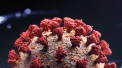 Virus