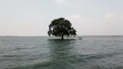 হাওর