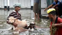 असम