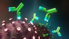 coronavirus and antibodies