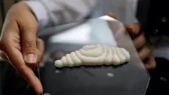 هل تأكل شرائح سمك مطبوعة بتقنية ثلاثية الأبعاد؟