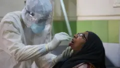 করোনাভাইরাস