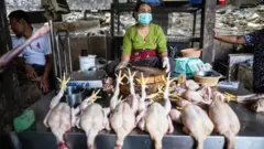 ကြက်သားအရောင်းဆိုင်