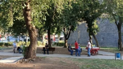 PARK
