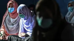 نجونې