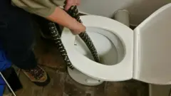 Mtaalamu akitoa nyoka ndani ya choo