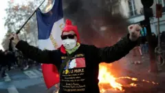Paris'te bir protestocu