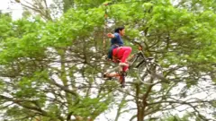 హార్సిలీ హిల్స్