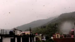 सलह