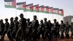 جبهة بوليساريو خاضت صراعا مسلحا مع السلطات المغربية منذ انسحاب إسبانيا من المنطقة