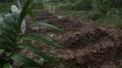কবরস্থান