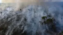 آتش‌سوزی آمازون