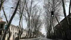 İstanbul Beşiktaş'taki Dolmabahçe Caddesi tarihi çınarlarıyla ünlü caddelerden biri