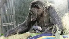 Birth Control