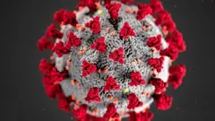 U Rwanda rumenyesha ko abamaze kwandura umugera wa coronavirus ari 143
