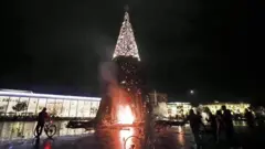 Jelka u plamenu