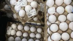 Yumurta Bakıda yumurta qıtlığı