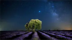 Depuis plus d'un siècle, les gens rêvent de créer une civilisation au-delà de l'atmosphère de la Terre.