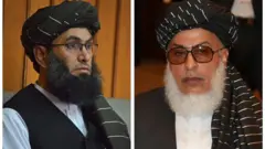 عباس ستانکزی - خالد حنفي