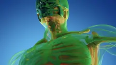 Image of a 3D scan of human anatomy