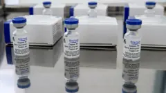 vacc